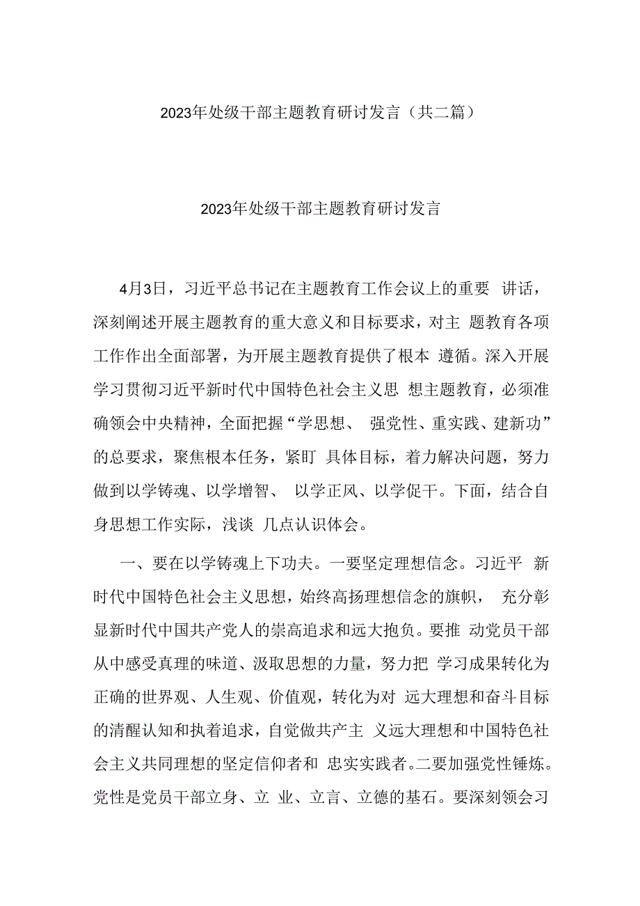 2023年处级干部主题教育研讨发言(共二篇).docx_第1页