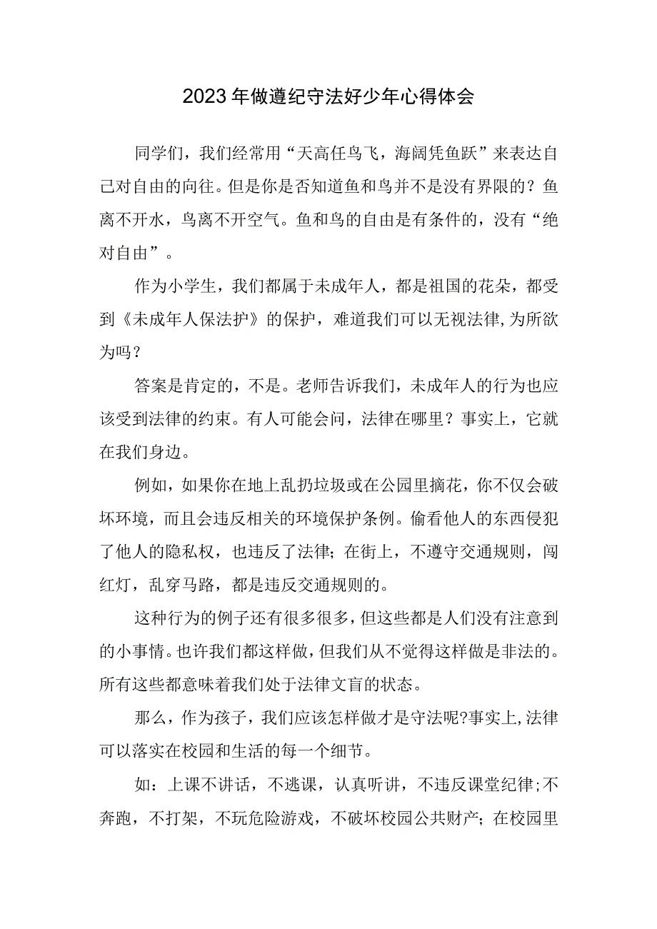 2023年做遵纪守法好少年心得体会.docx_第1页