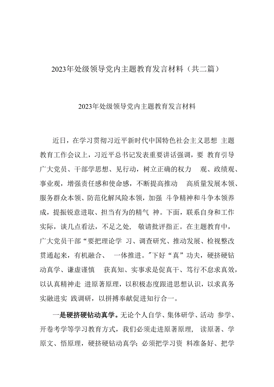 2023年处级领导党内主题教育发言材料(共二篇).docx_第1页