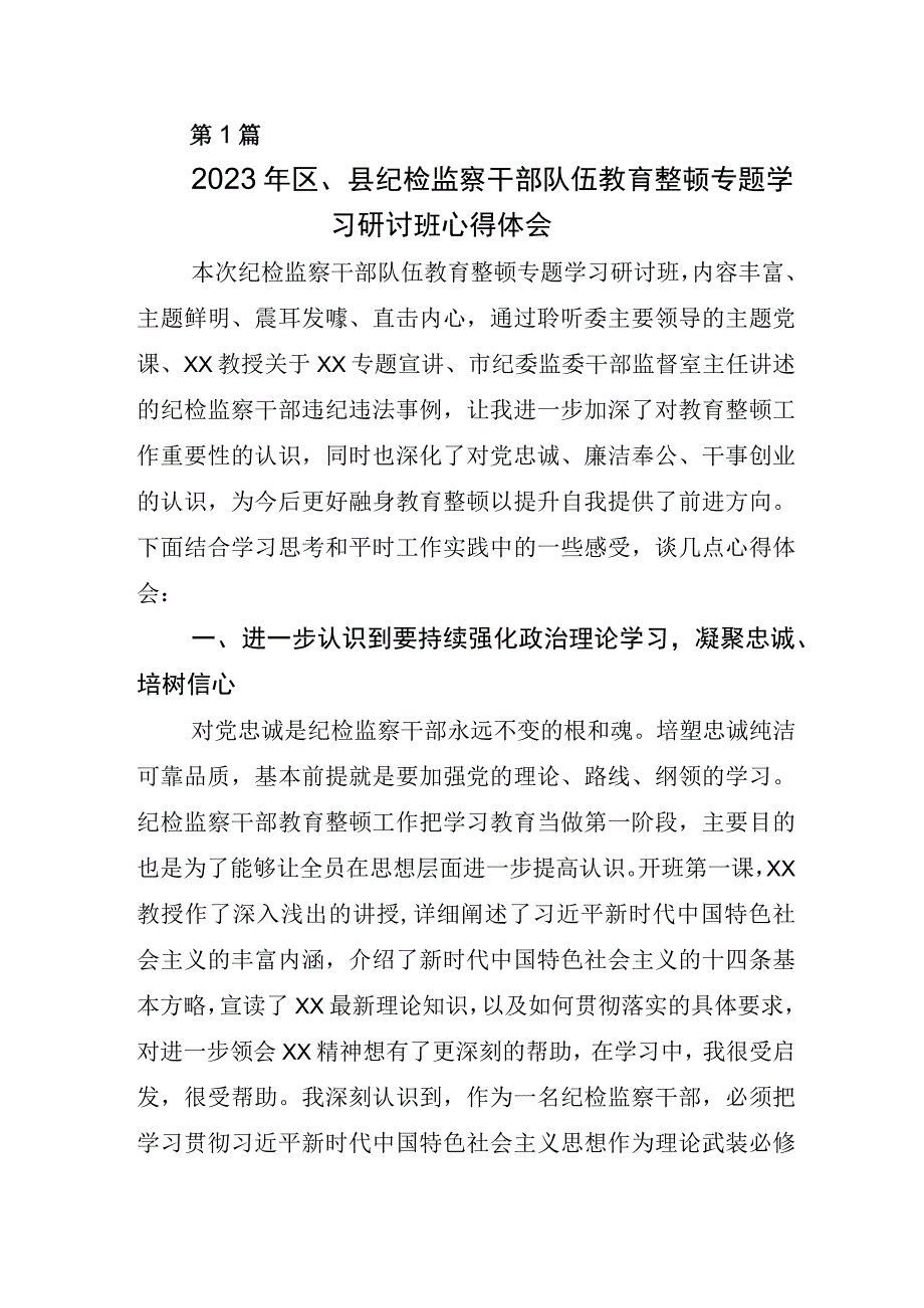 2023年度某纪委书记关于纪检监察干部队伍教育整顿心得体会研讨发言材料5篇.docx_第1页