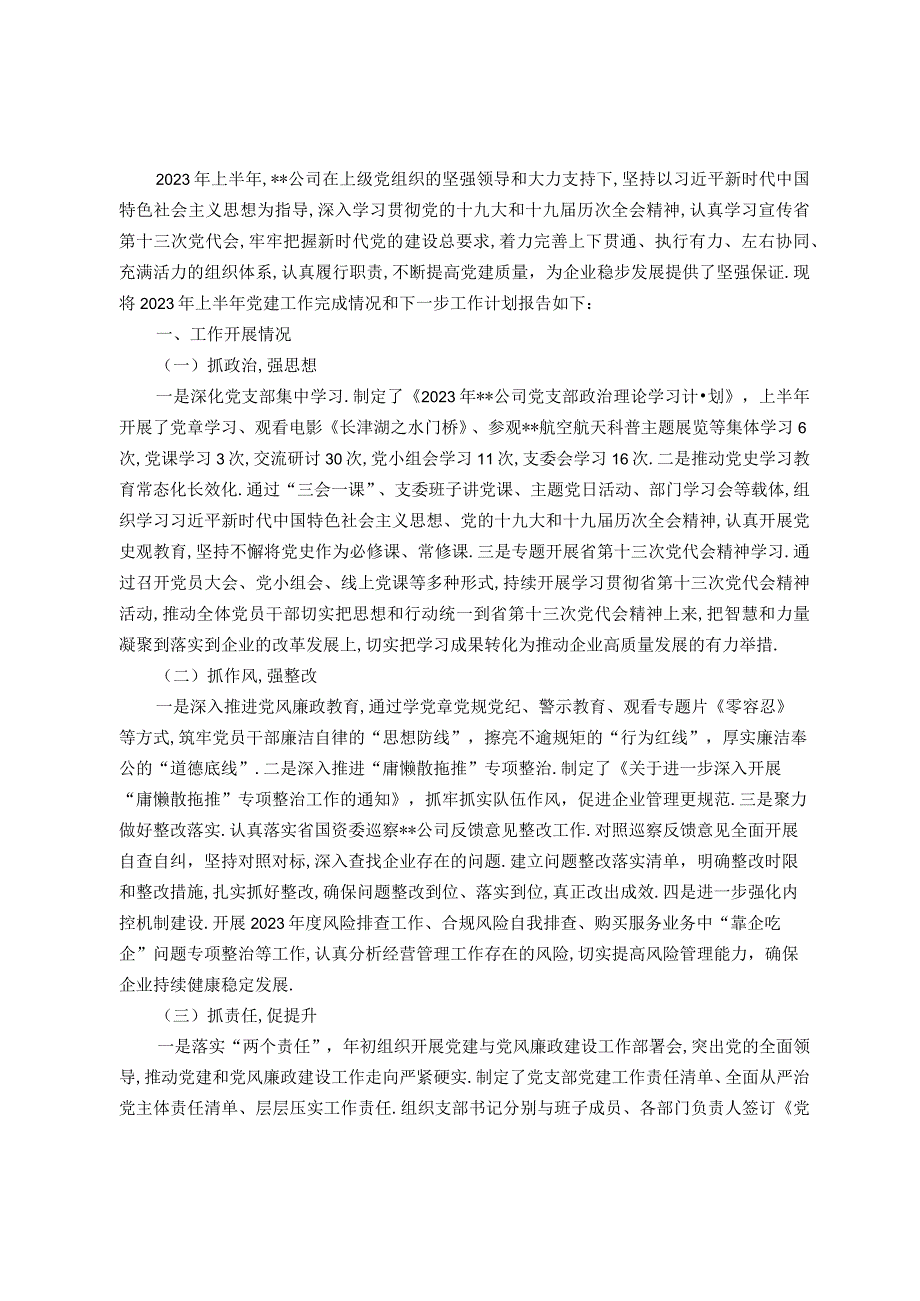 (党政资料)某国企党支部2023年上半年党建工作情况总结及下半年工作计划.docx_第1页