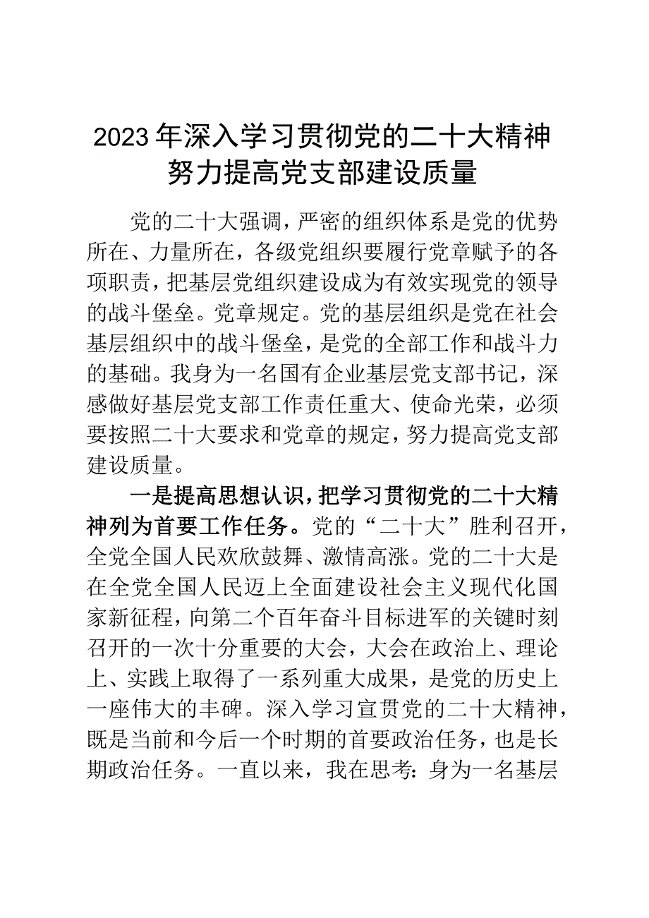 2023年党支部党课讲稿：深入学习贯彻党的二十大精神 努力提高党支部建设质量.docx_第1页