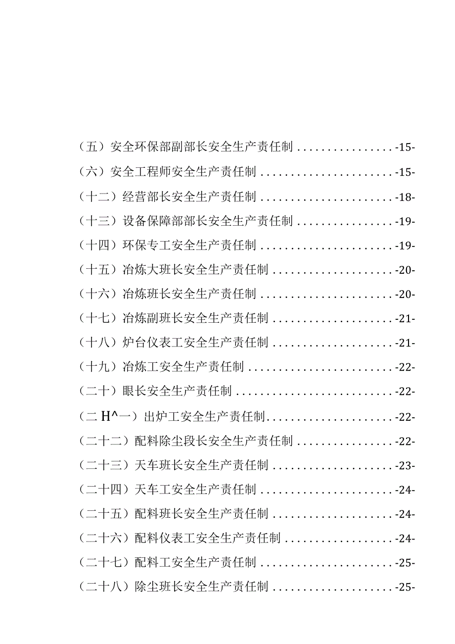 2023安全生产责任制（定稿）.docx_第2页