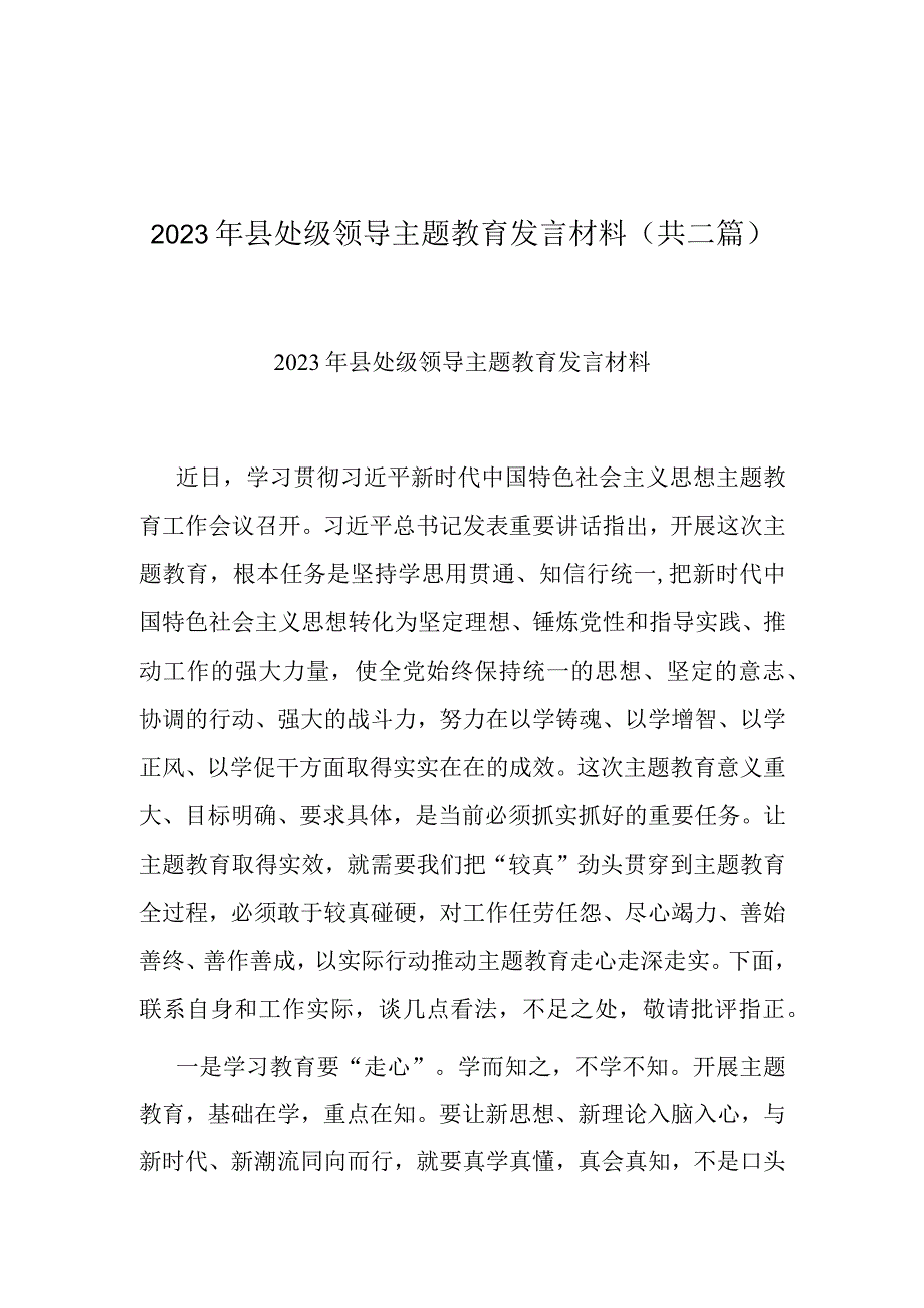 2023年县处级领导主题教育发言材料(共二篇).docx_第1页