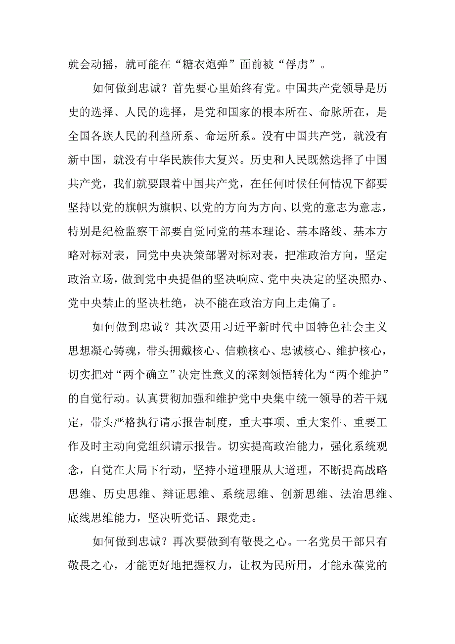 2023年区县纪检监察干部关于教育整顿心得体会（研讨发言）2篇.docx_第3页