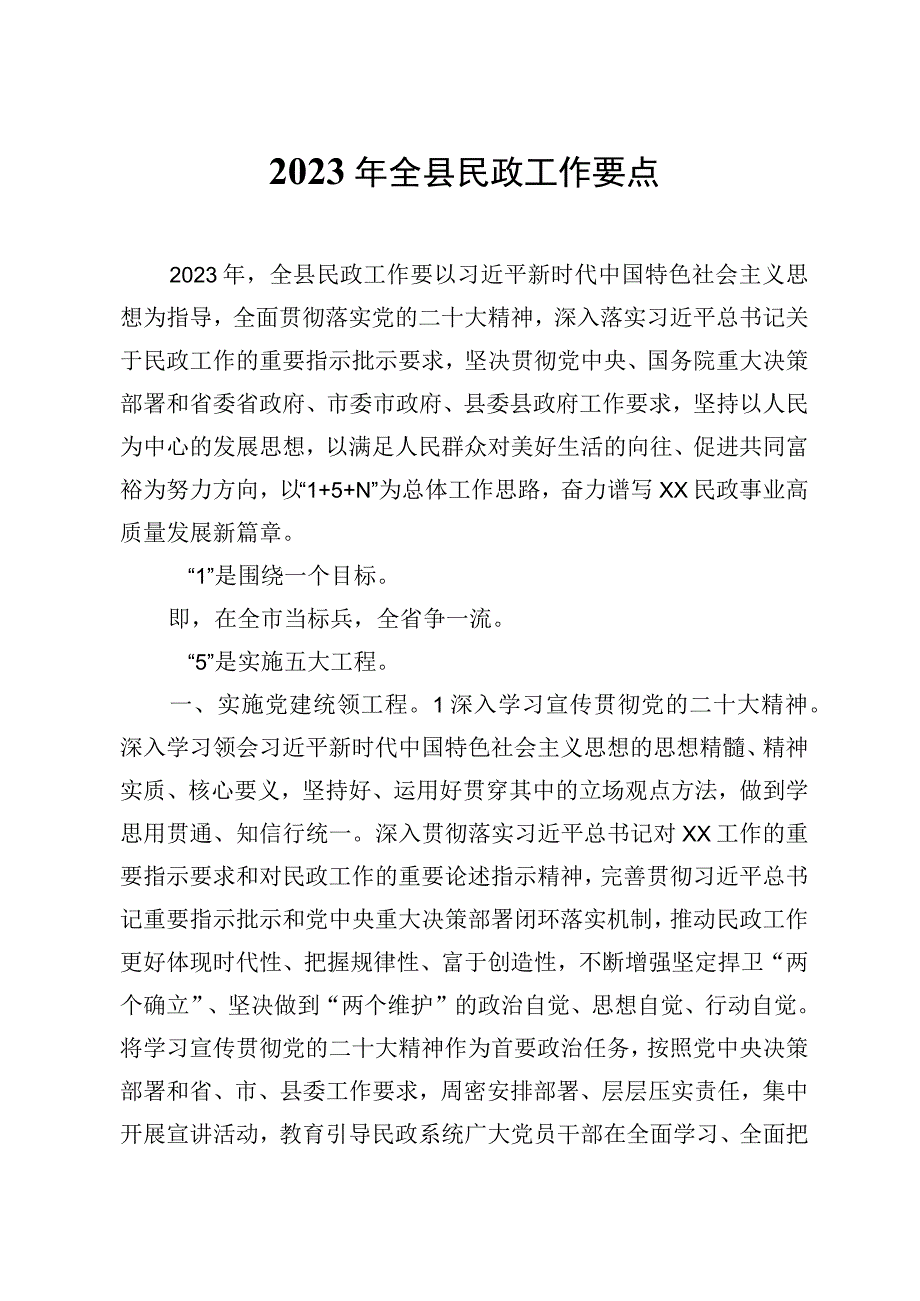 2023年全县民政工作要点.docx_第1页