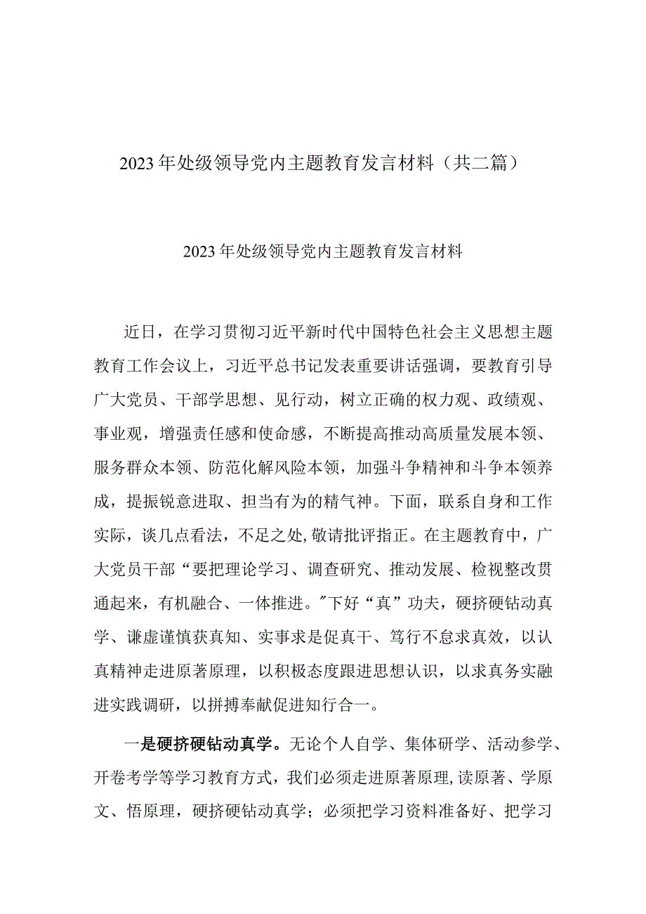 2023年处级领导党内主题教育发言材料(共二篇).docx_第1页