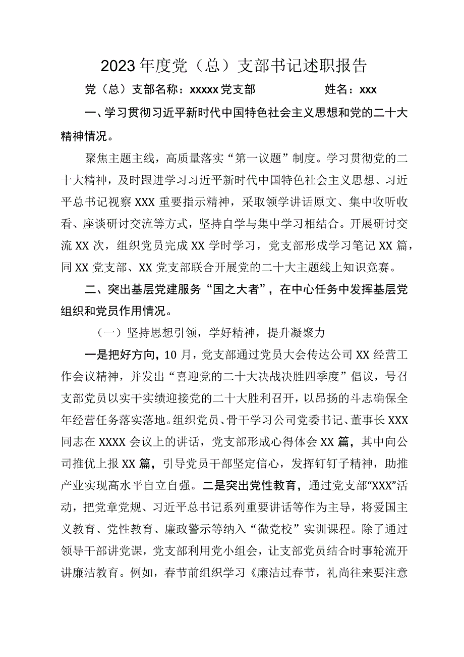 2023年度党（总）支部书记述职报告.docx_第1页