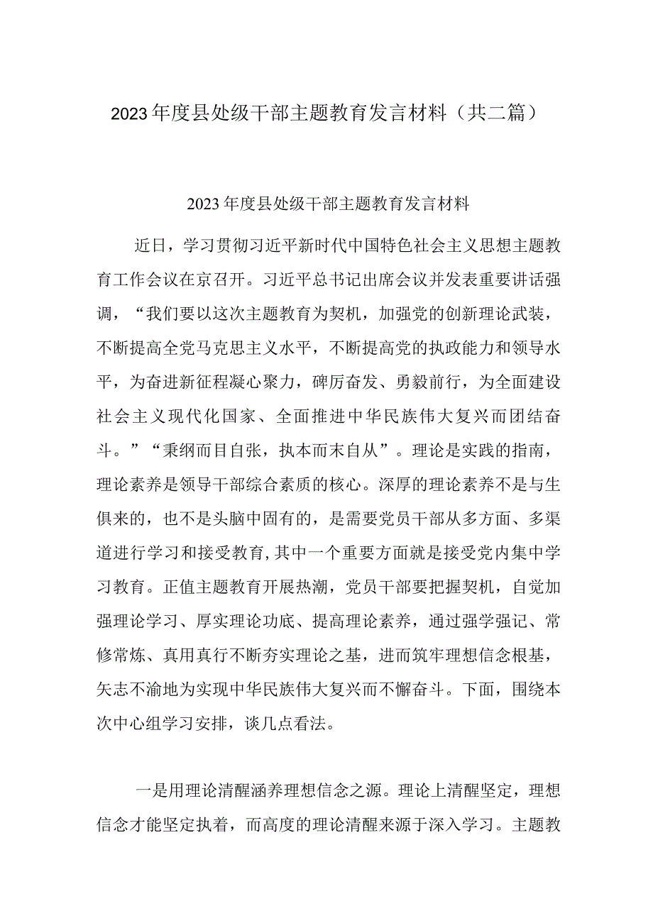 2023年度县处级干部主题教育发言材料(共二篇).docx_第1页