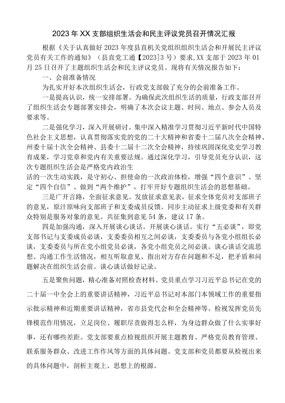 2023年度党支部专题组织生活会暨民主评议党员工作全套资料（含工作方案召开情况汇报党员民主评议自我评价）.docx_第2页