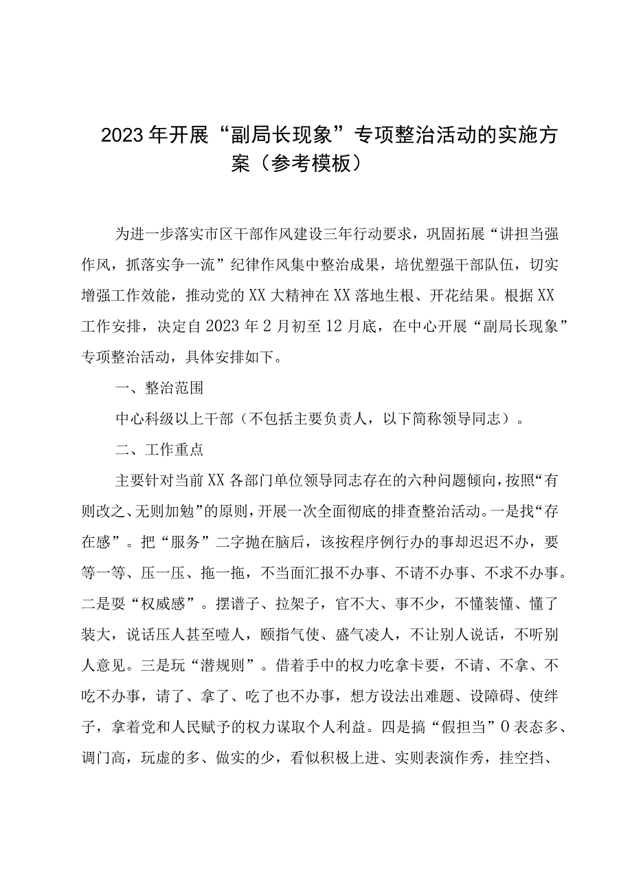 2023年开展副局长现象专项整治活动的实施方案（参考模板）.docx_第1页