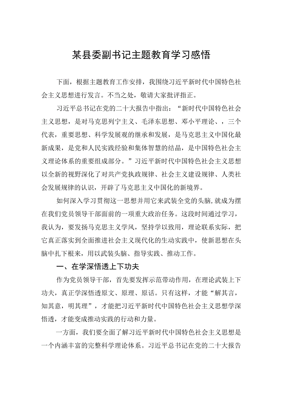 2023年某县委副书记党委书记党内主题教育学习感悟2篇.docx_第1页