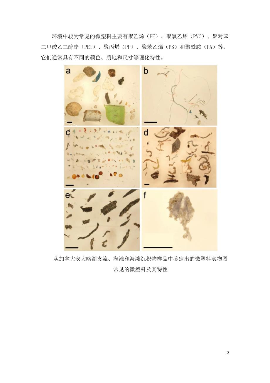 土壤微塑料与重金属持久性有机污染物和抗生素作用影响因素.doc_第2页