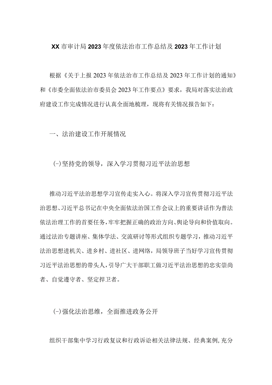 XX市审计局2023年度依法治市工作总结及2023年工作计划.docx_第1页