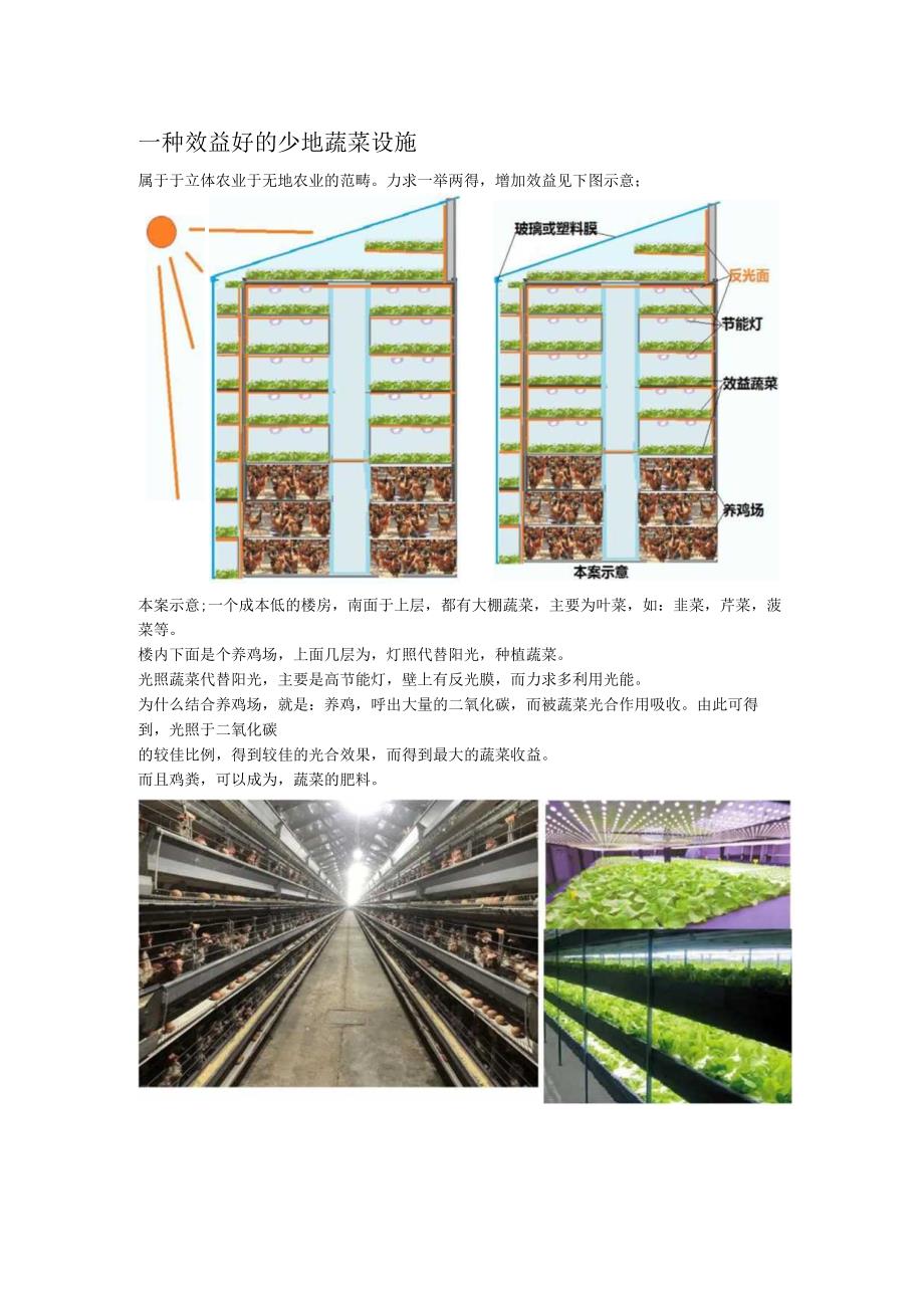 一种效益好的少地蔬菜设施.docx_第1页