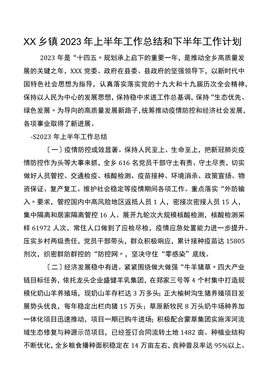 XX乡镇2023年上半年工作总结和下半年工作计划.docx_第1页