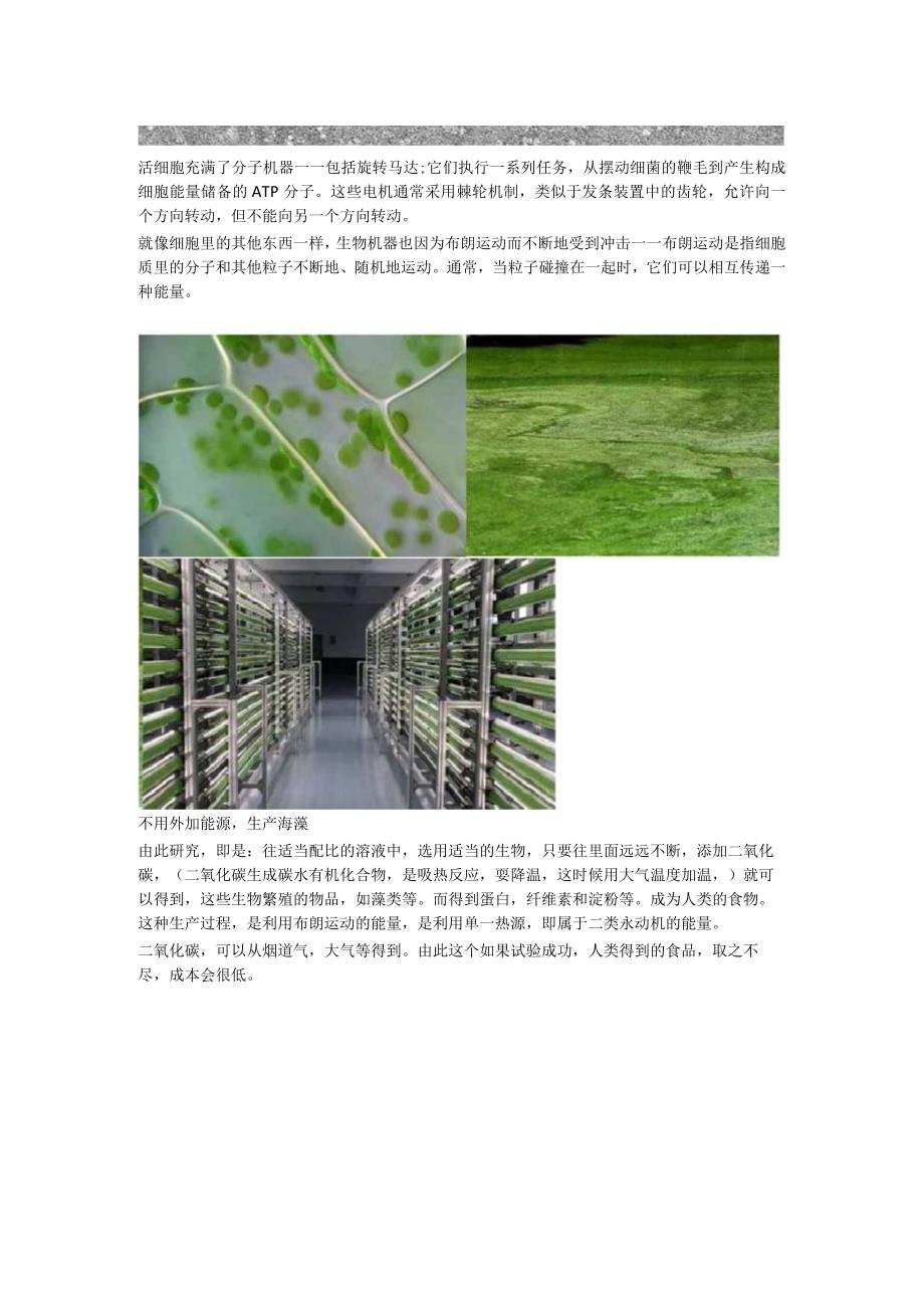 一种利用二类永动机效应生产食物想法.docx_第2页