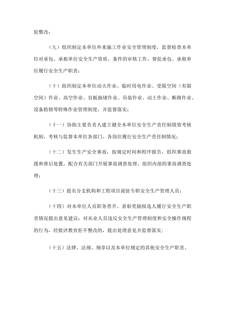 三安全生产分管负责人安全总监安全生产责任清单.docx_第2页