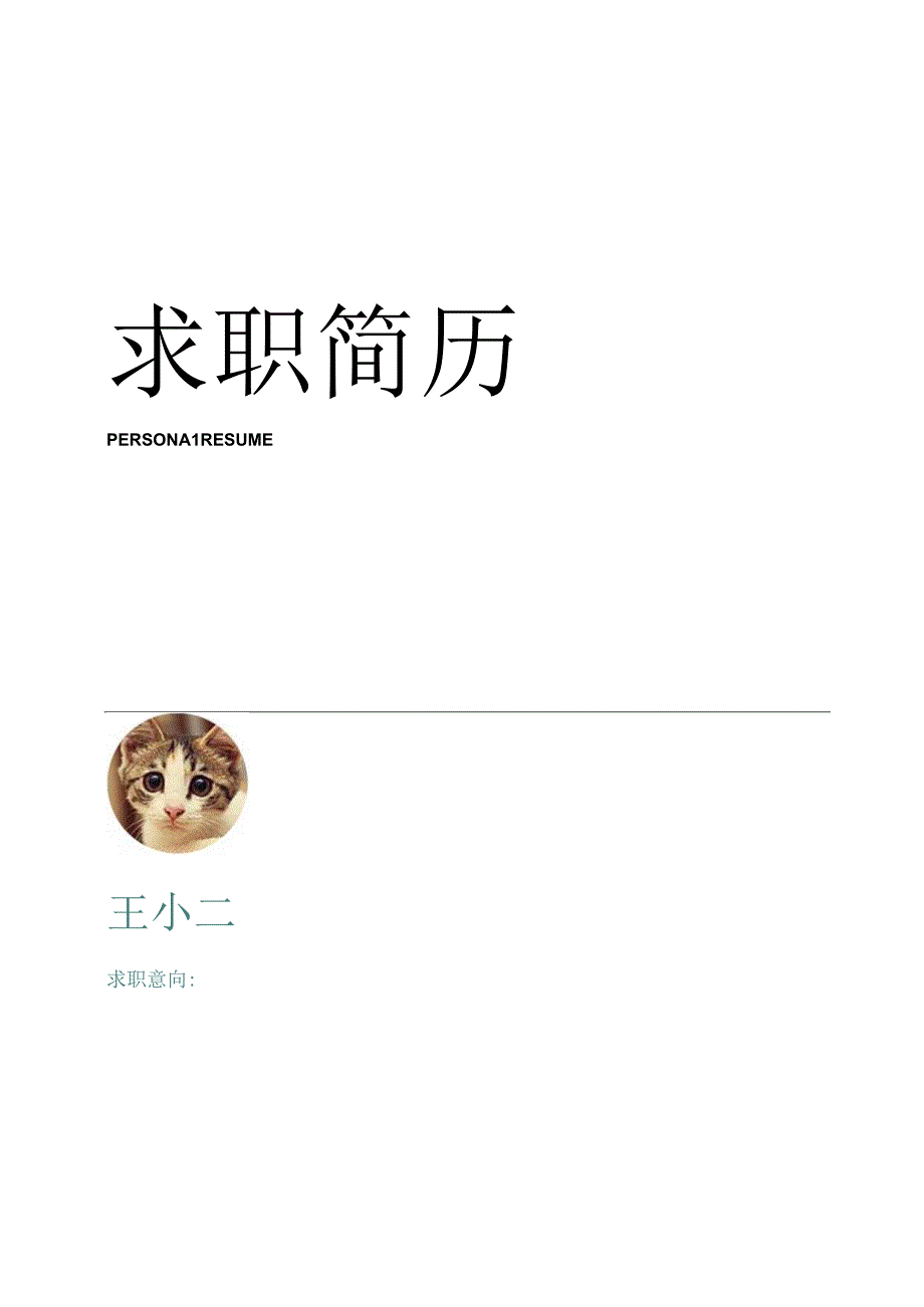 个人简历模板(简单表格).docx_第1页