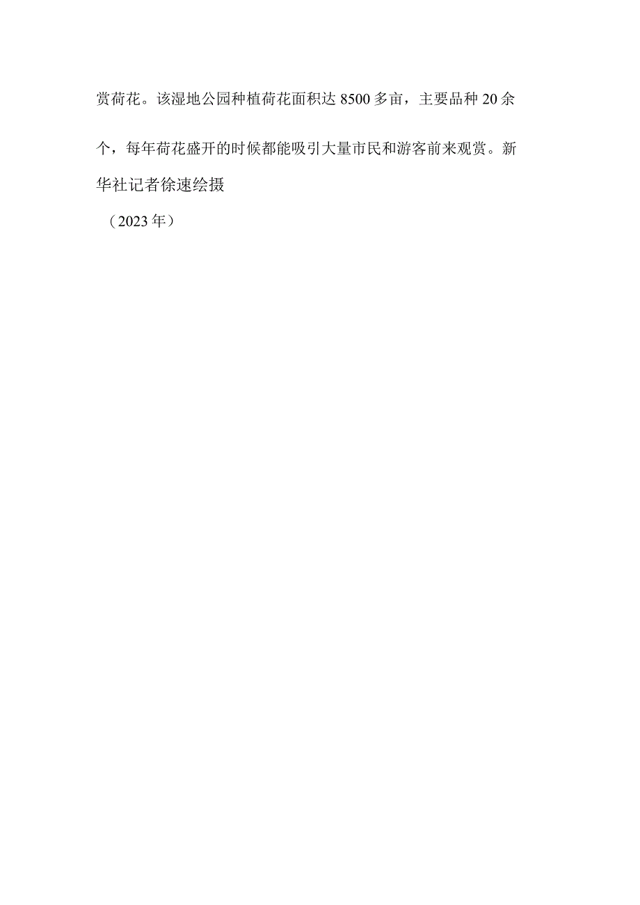 中国援助巴布亚新几内亚恩加省医院项目竣工交接荷花盛开.docx_第2页