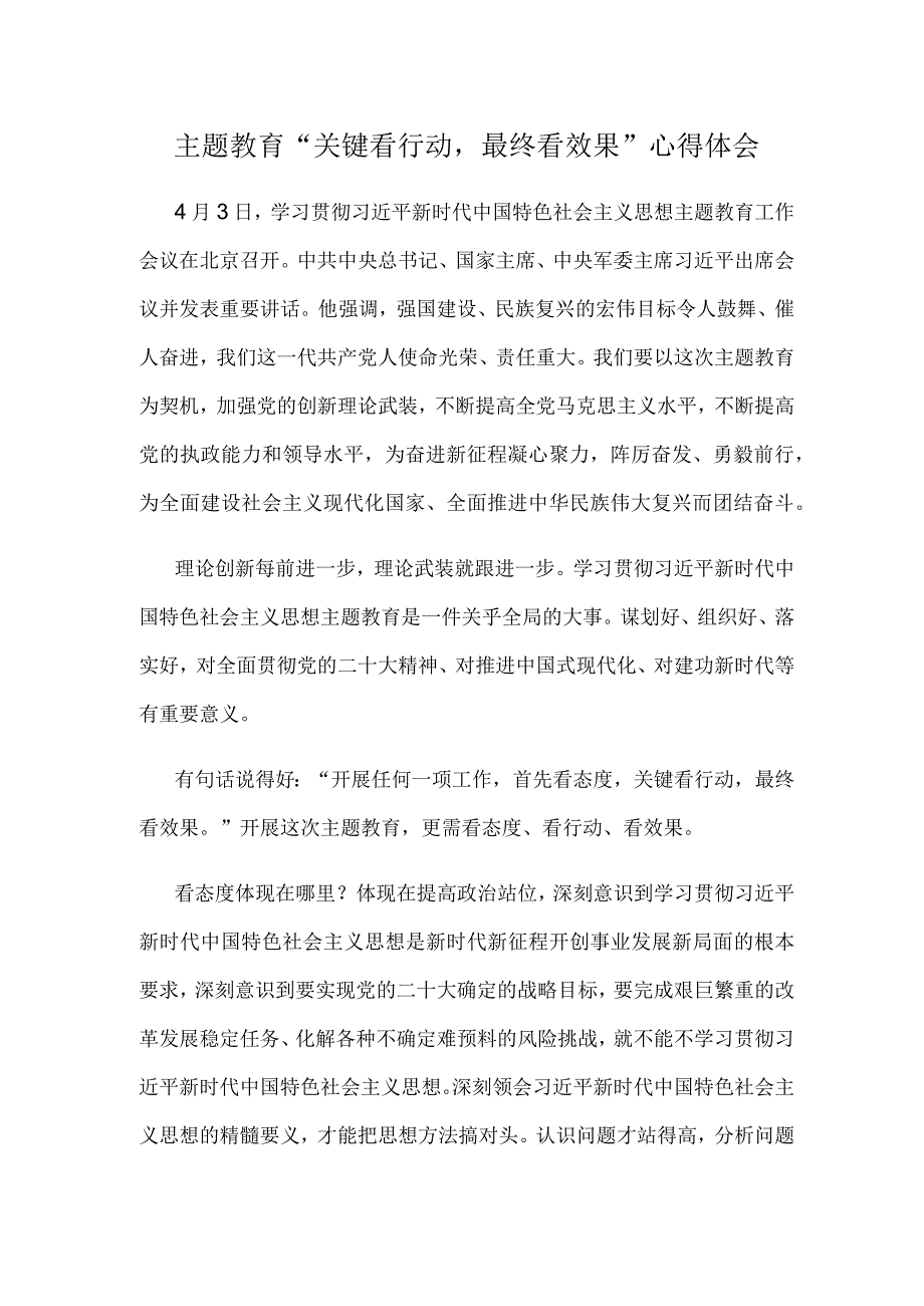 主题教育关键看行动最终看效果心得体会.docx_第1页