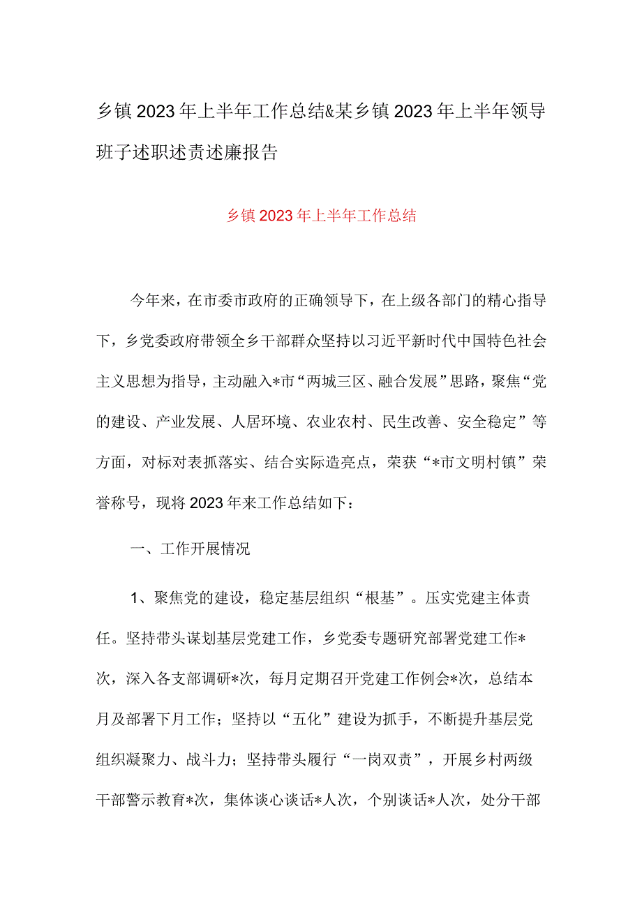 乡镇2023年上半年工作总结&某乡镇2023年上半年领导班子述职述责述廉报告.docx_第1页