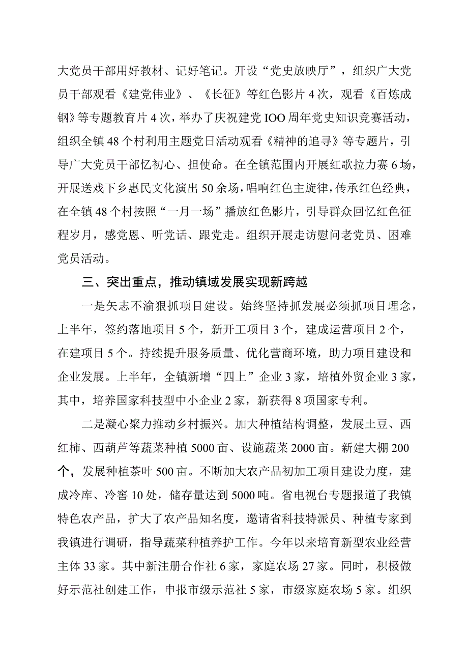 乡镇半年工作总结.docx_第2页