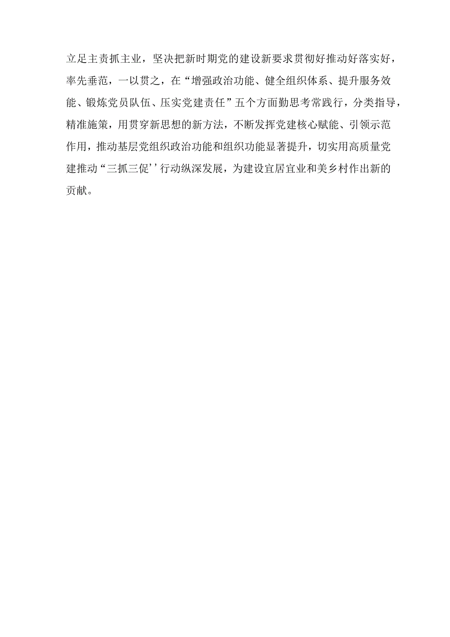 2023年甘肃乡镇街道谈开展三抓三促行动心得体会及感想汇编.docx_第3页