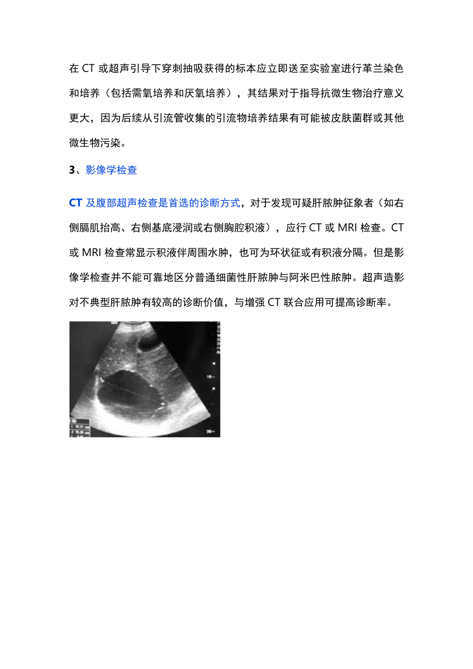 2023细菌性肝脓肿的诊治（全文）.docx_第3页