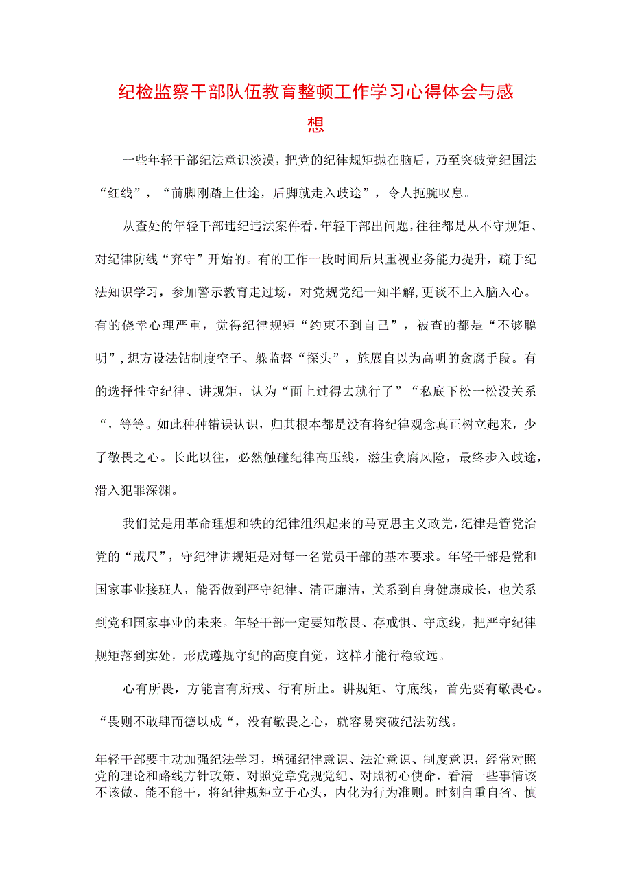 2023年纪检监察干部队伍纪律教育整顿个人学习心得（三篇）.docx_第1页