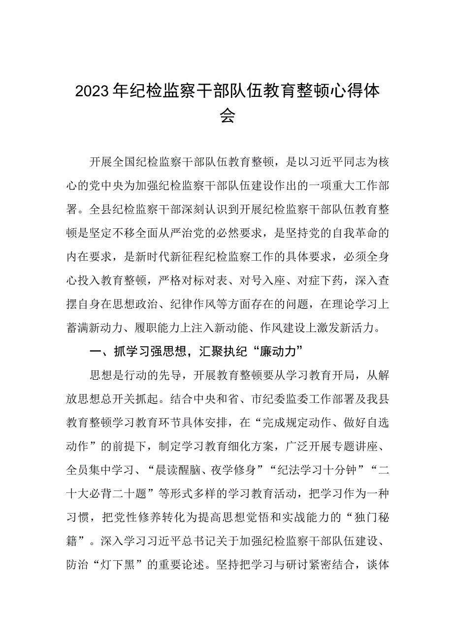 2023年纪检监察干部队伍教育整顿心得体会感悟9篇.docx_第1页