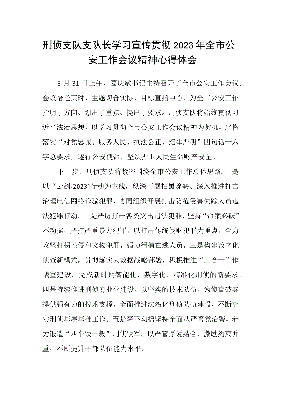 刑侦支队支队长学习宣传贯彻2023年全市公安工作会议精神心得体会.docx_第1页