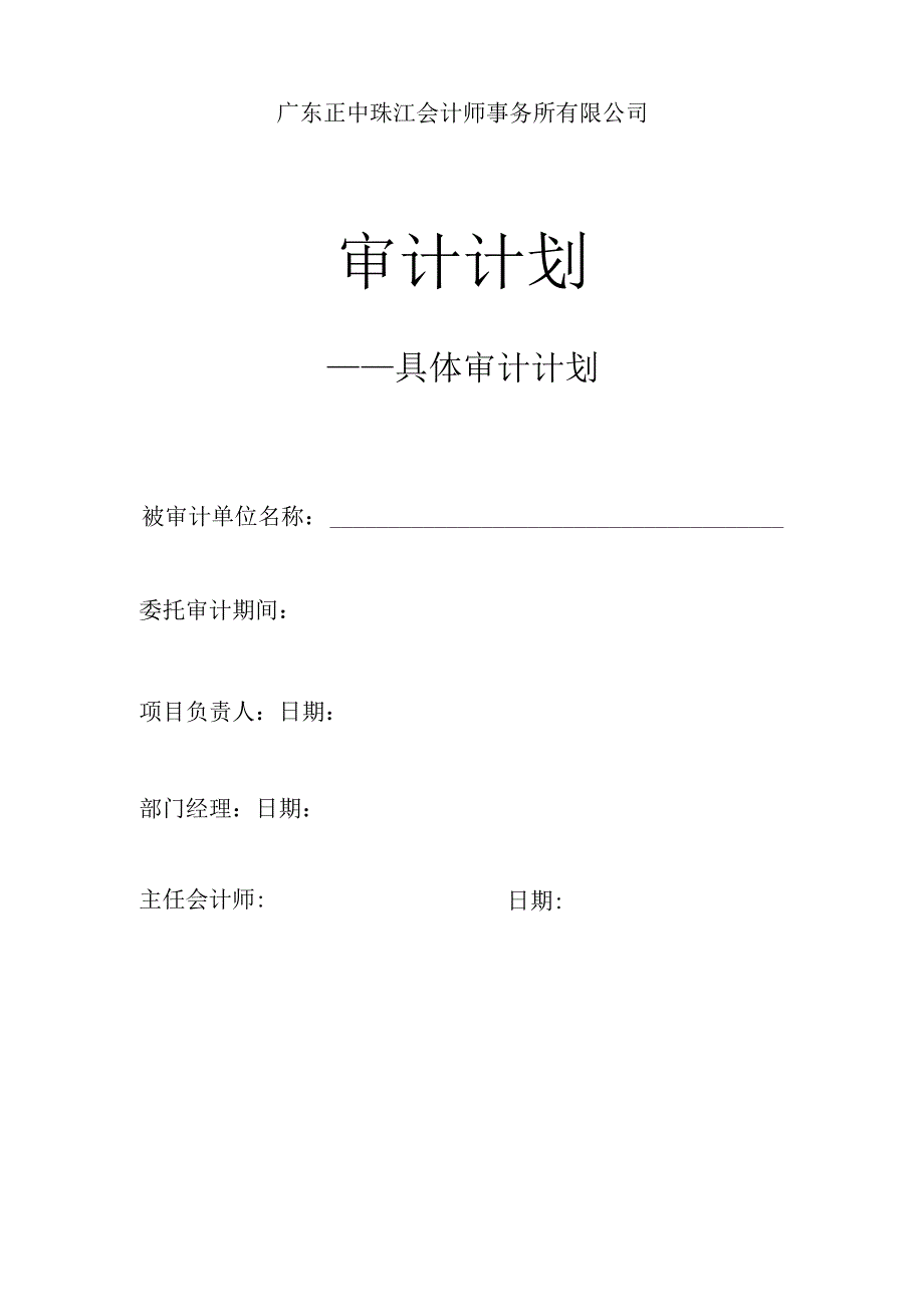 具体审计计划范本.docx_第1页