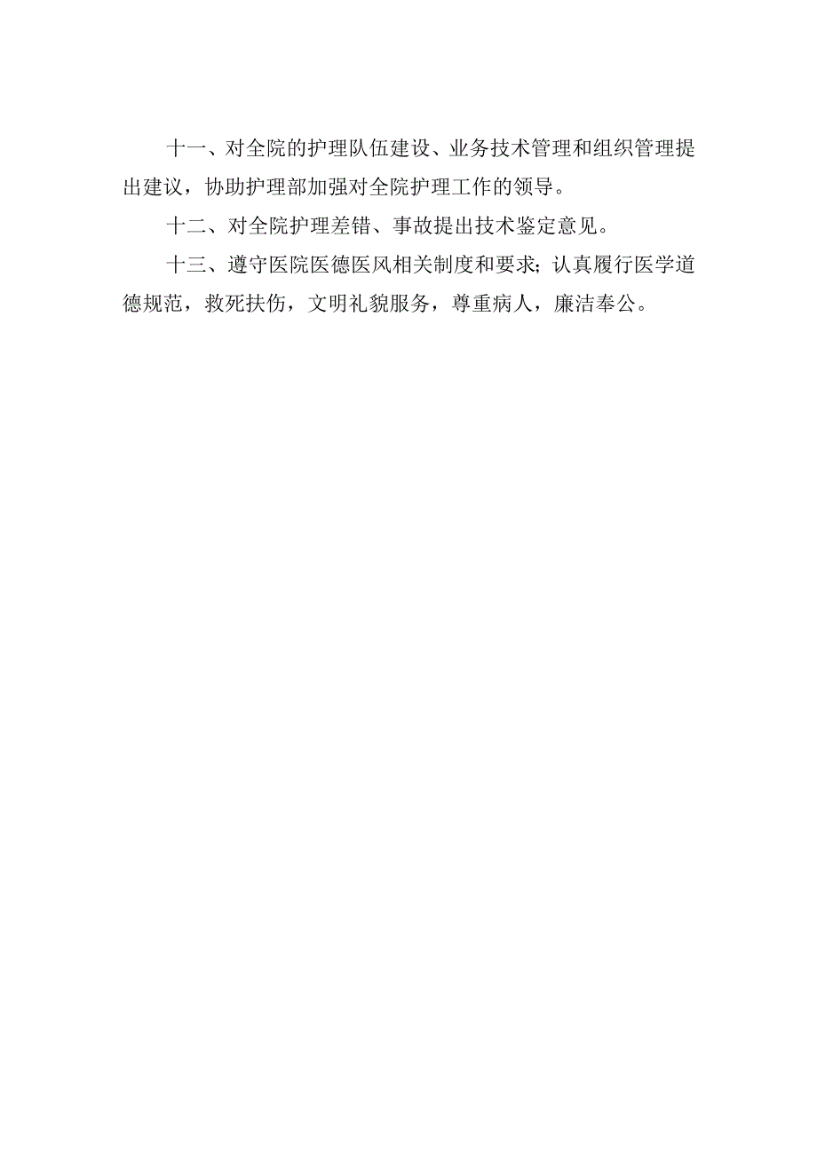 副主任护师岗位职责.docx_第2页