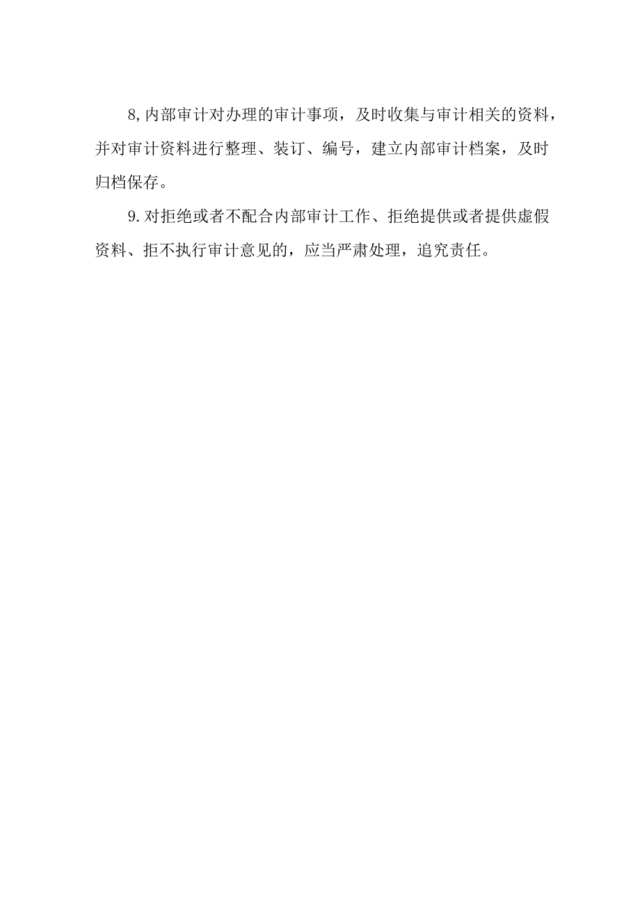 医院内部审计制度.docx_第2页