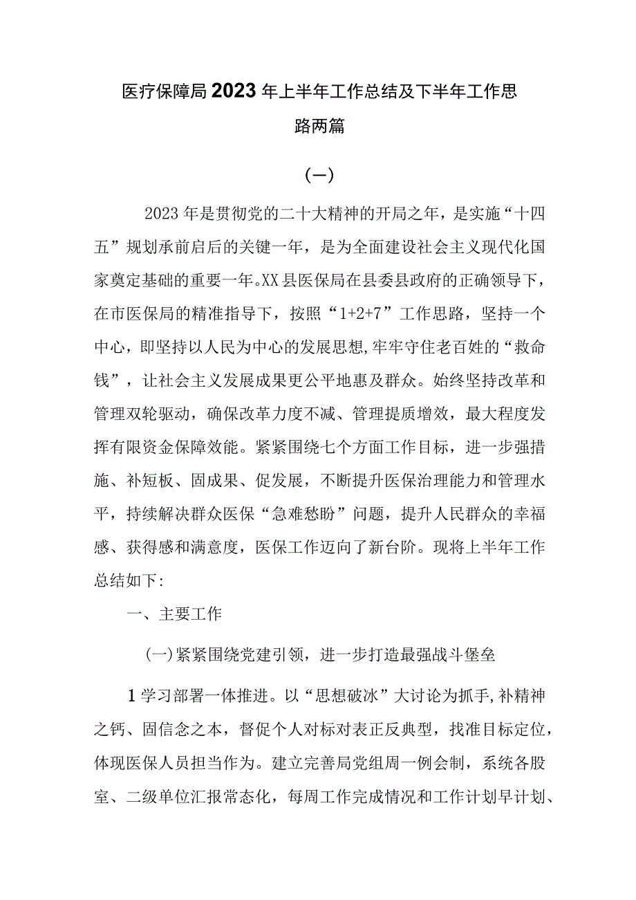 医疗保障局2023年上半年工作总结及下半年工作思路两篇.docx_第1页