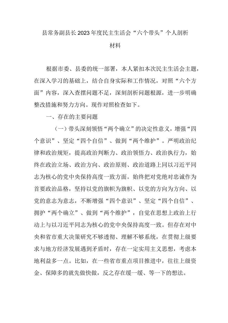 县常务副县长2023年度民主生活会六个带头个人剖析材料.docx_第1页