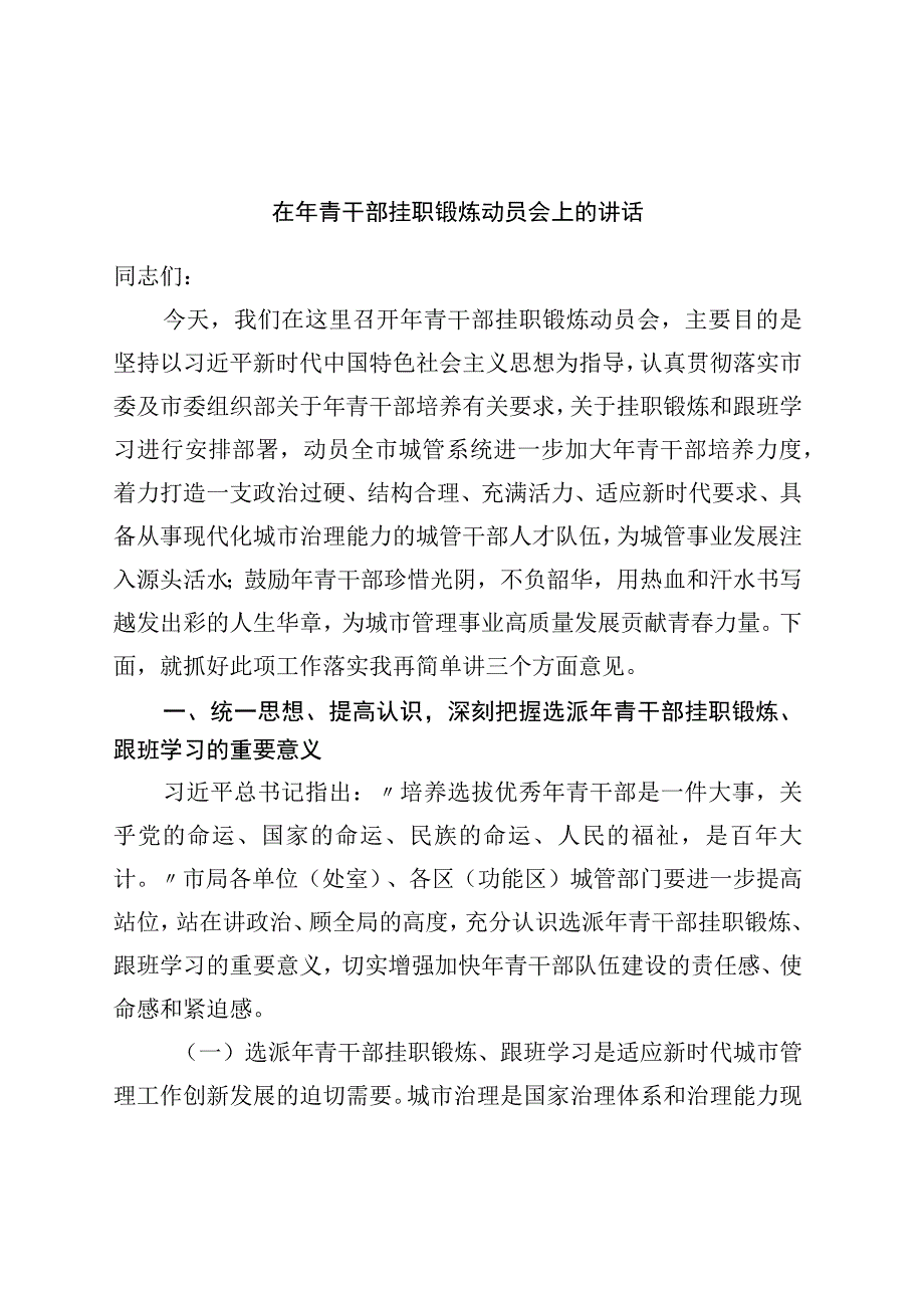 在年轻干部挂职锻炼动员会上的讲话.docx_第1页