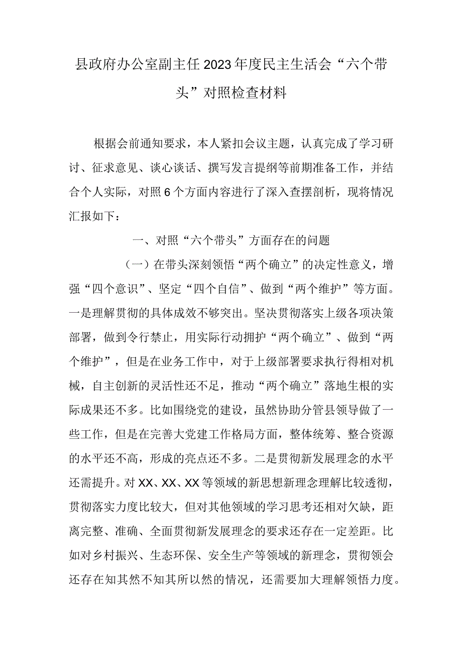 县政府办公室副主任2023年度民主生活会六个带头对照检查材料.docx_第1页