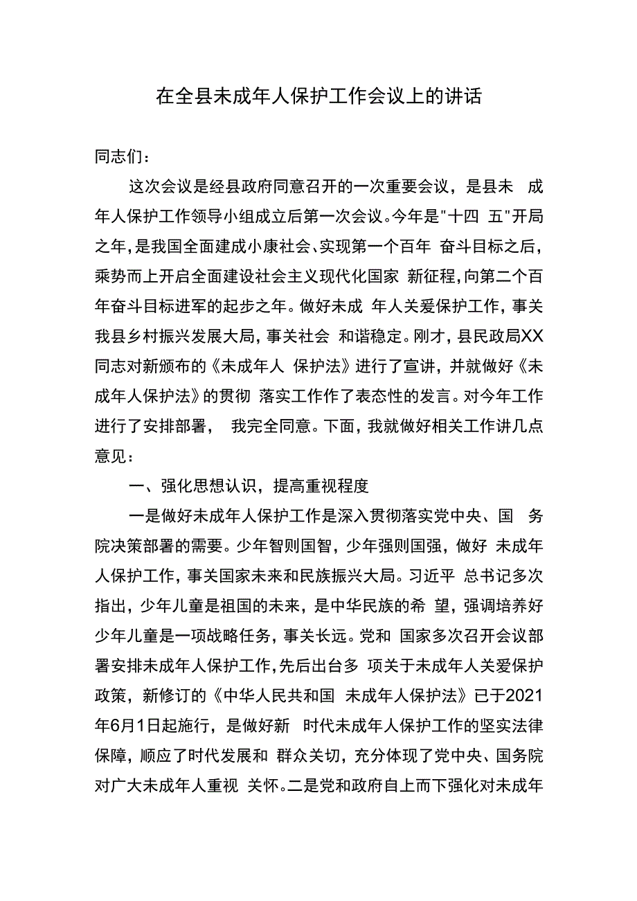 在全县未成年人保护工作会议上的讲话.docx_第1页