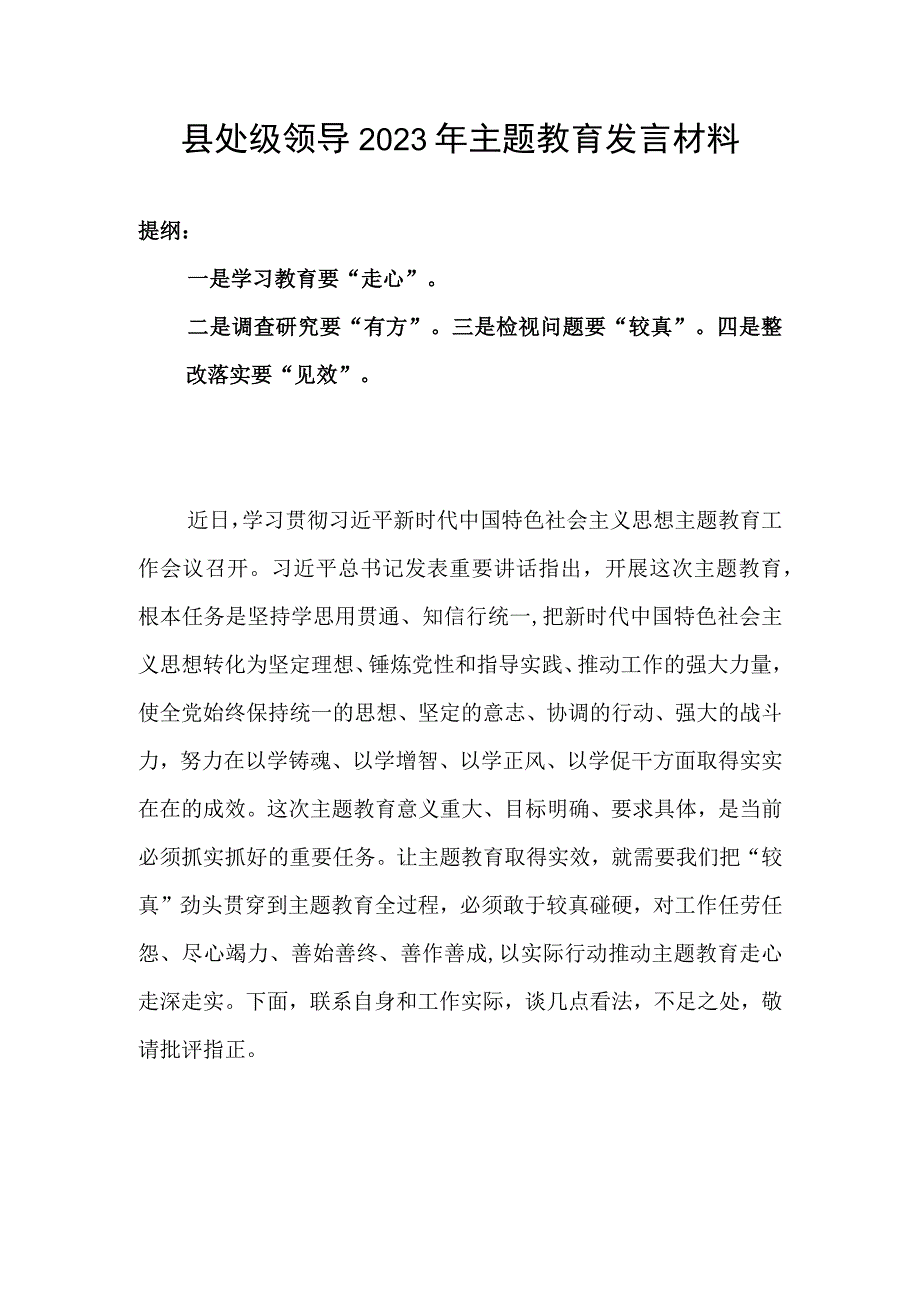 县处级领导2023年主题教育发言材料.docx_第1页