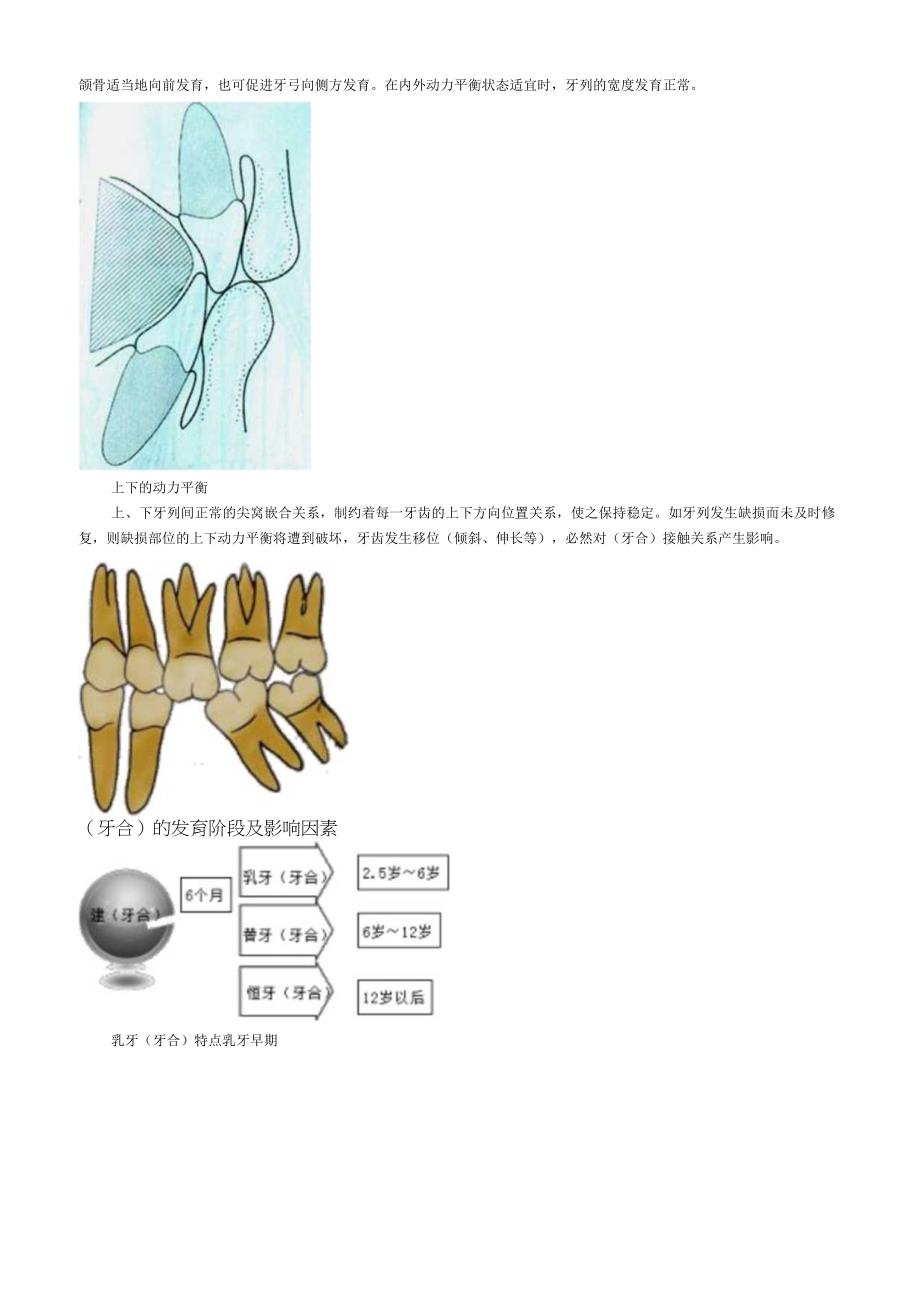 口腔解剖生理学（牙合）与颌位.docx_第2页