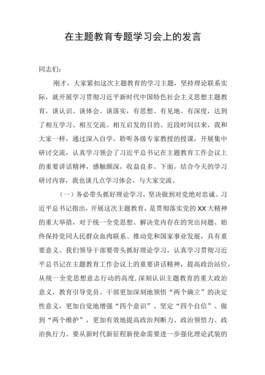 在主题教育专题学习会上的研讨发言.docx_第1页