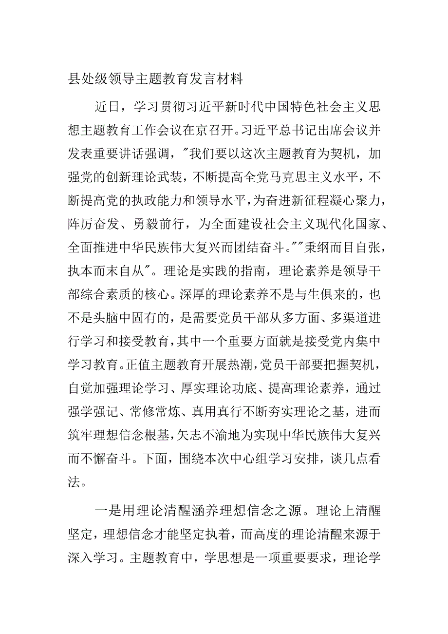 县处级领导主题教育发言材料.docx_第1页