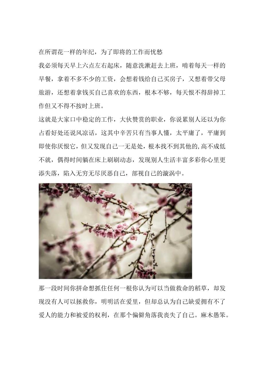 在所谓花一样的年纪为了即将的工作而忧愁.docx_第1页