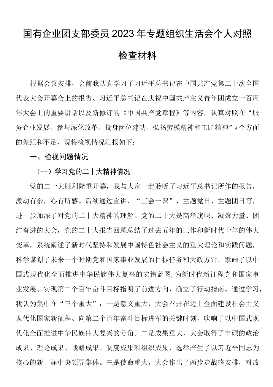 国有企业团支部委员2023年专题组织生活会个人对照检查材料.docx_第1页