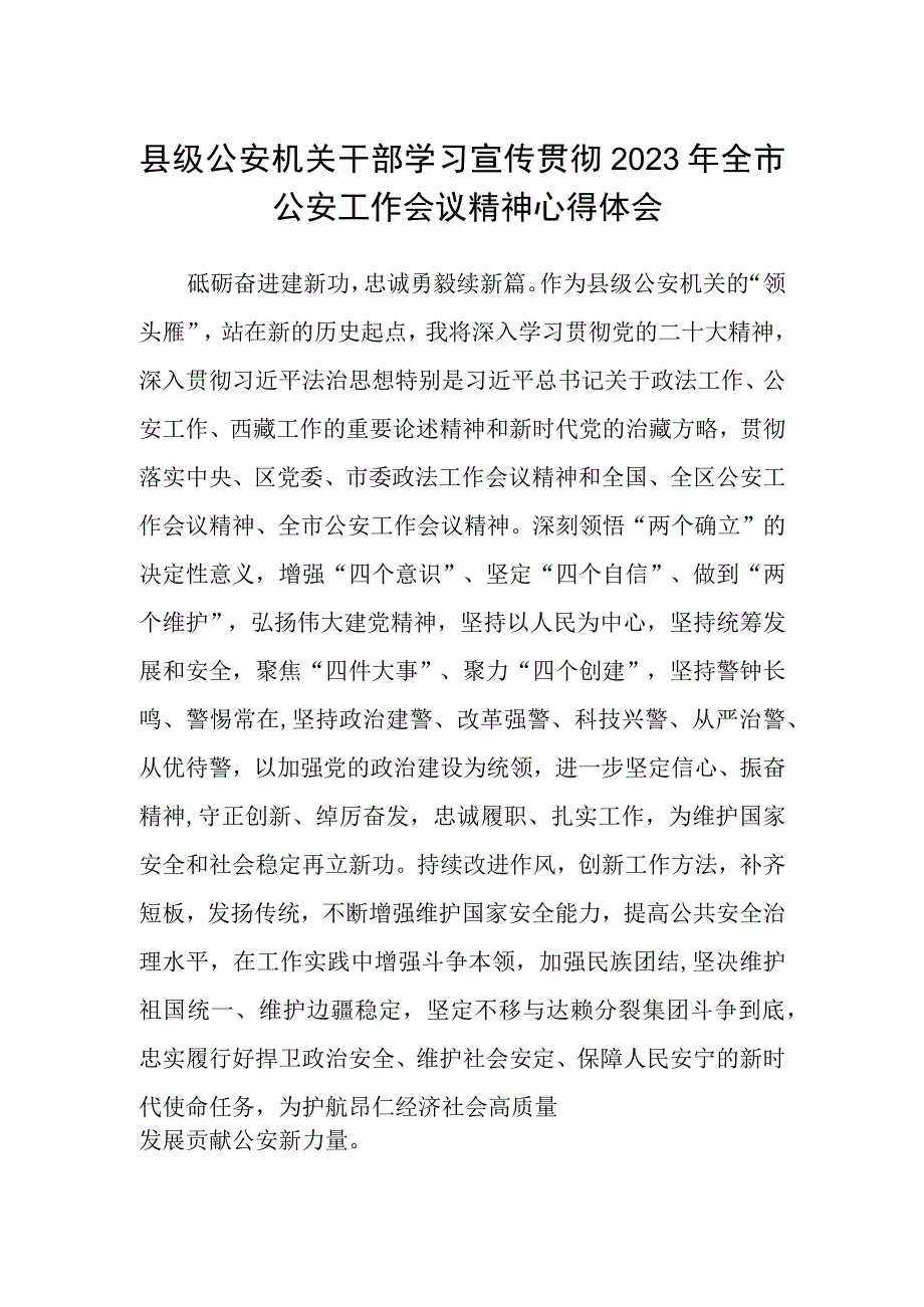 县级公安机关干部学习宣传贯彻2023年全市公安工作会议精神心得体会.docx_第1页