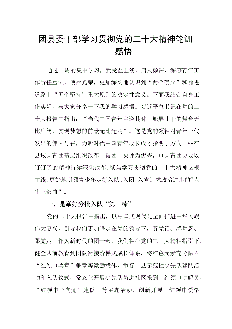 团县委干部学习贯彻党的二十大精神轮训感悟.docx_第1页