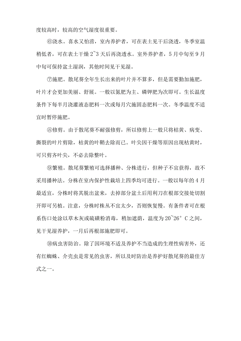 如何栽培管理散尾葵.docx_第2页