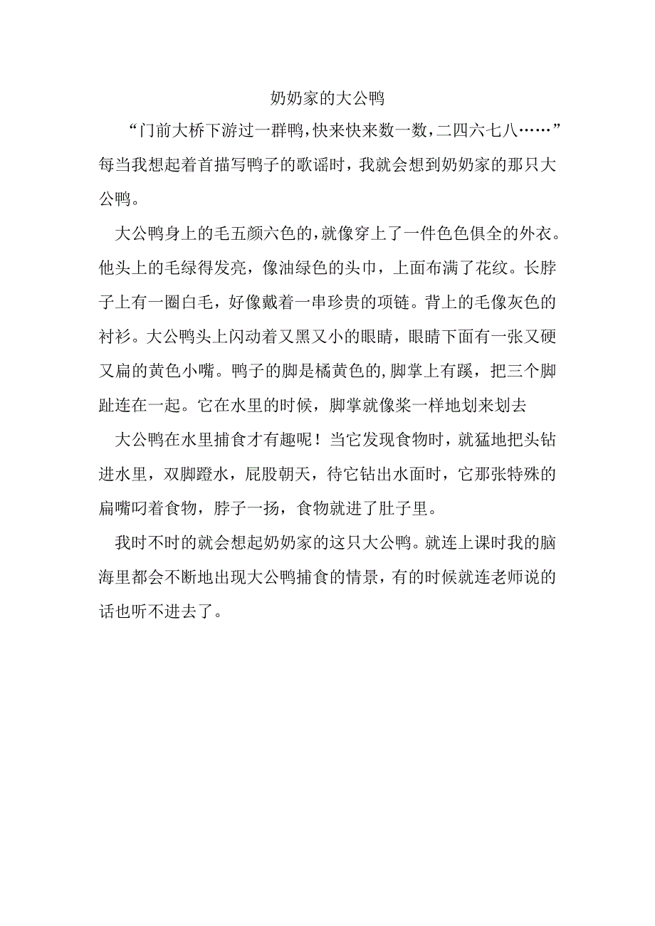 奶奶家的大公鸭.docx_第1页